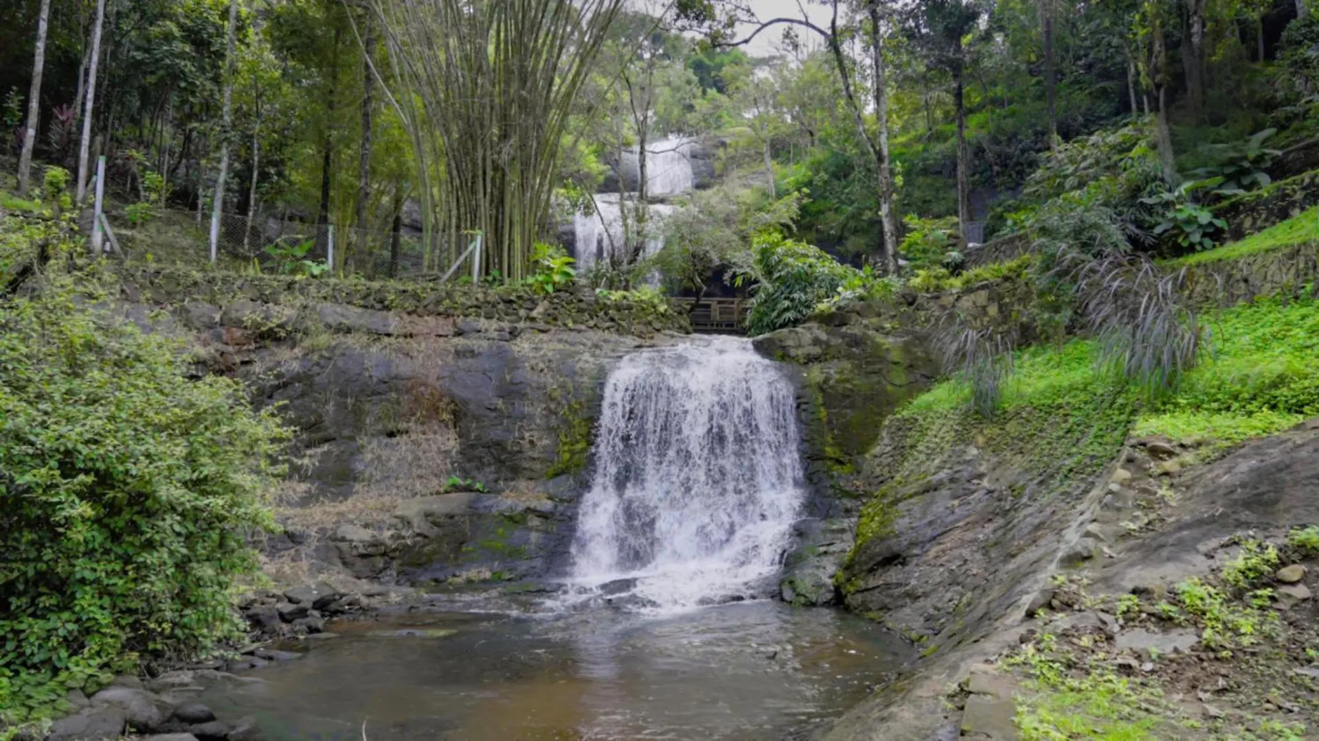 Urava Farmstay Kattappana Holiday home
