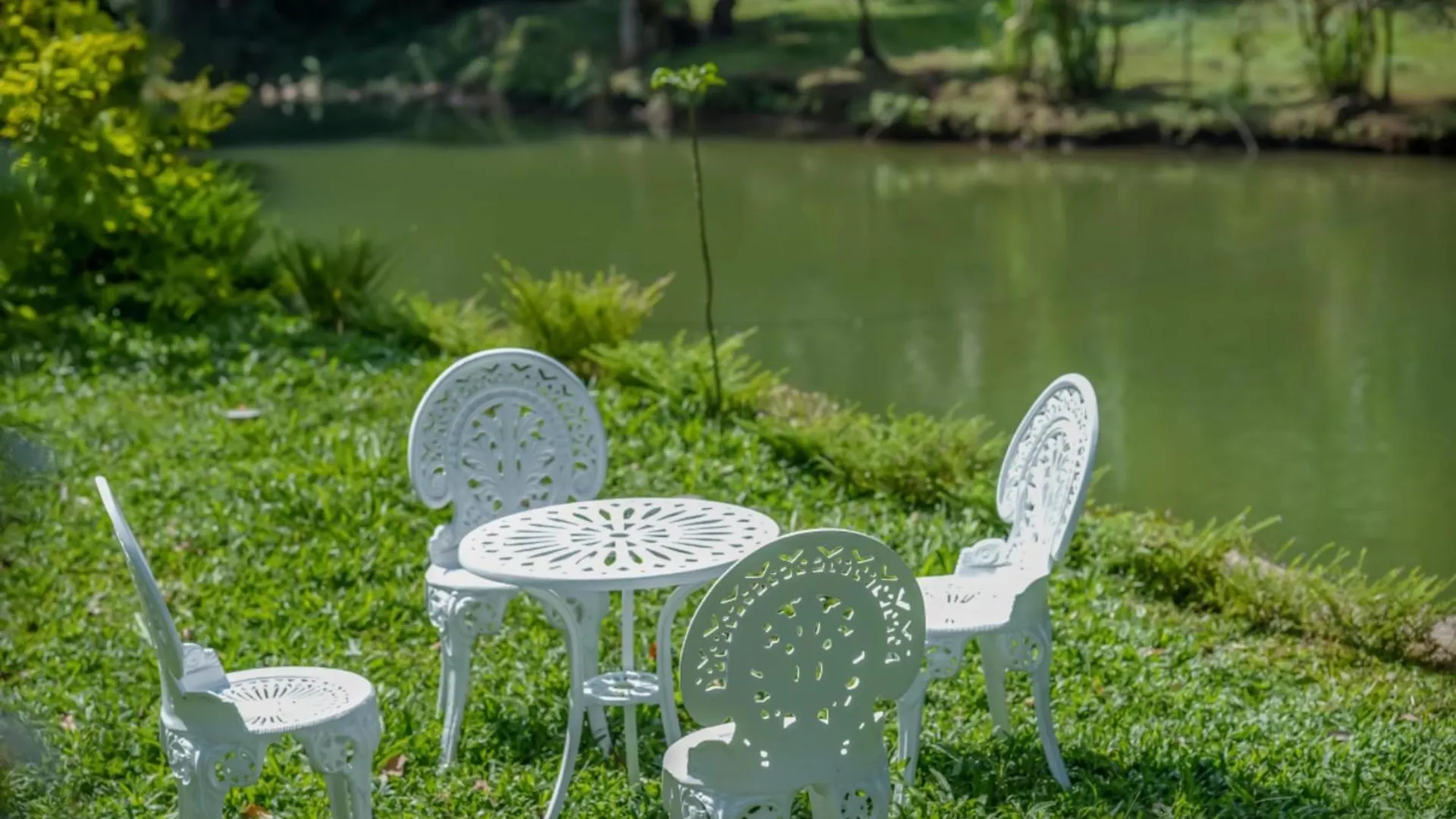 Urava Farmstay Kattappana India